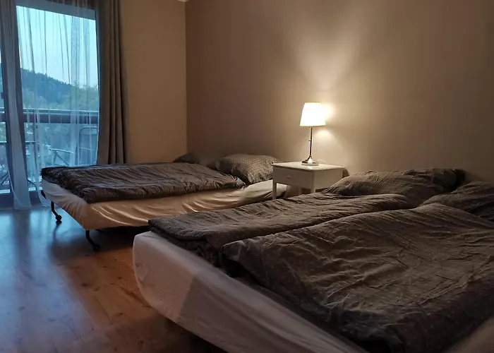 Apartamenty Miku